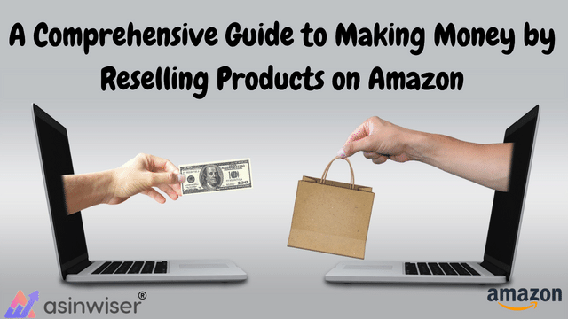 A Comprehensive Guide to Making Money by Reselling Products on Amazon